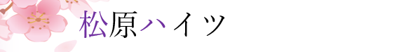 【公式】松原ハイツ・オフィシャルウェブサイト